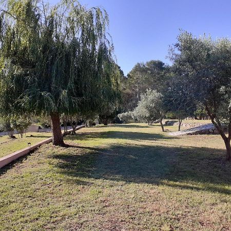 Bed and Breakfast La Bastide Des Selves Draguignan Exterior foto