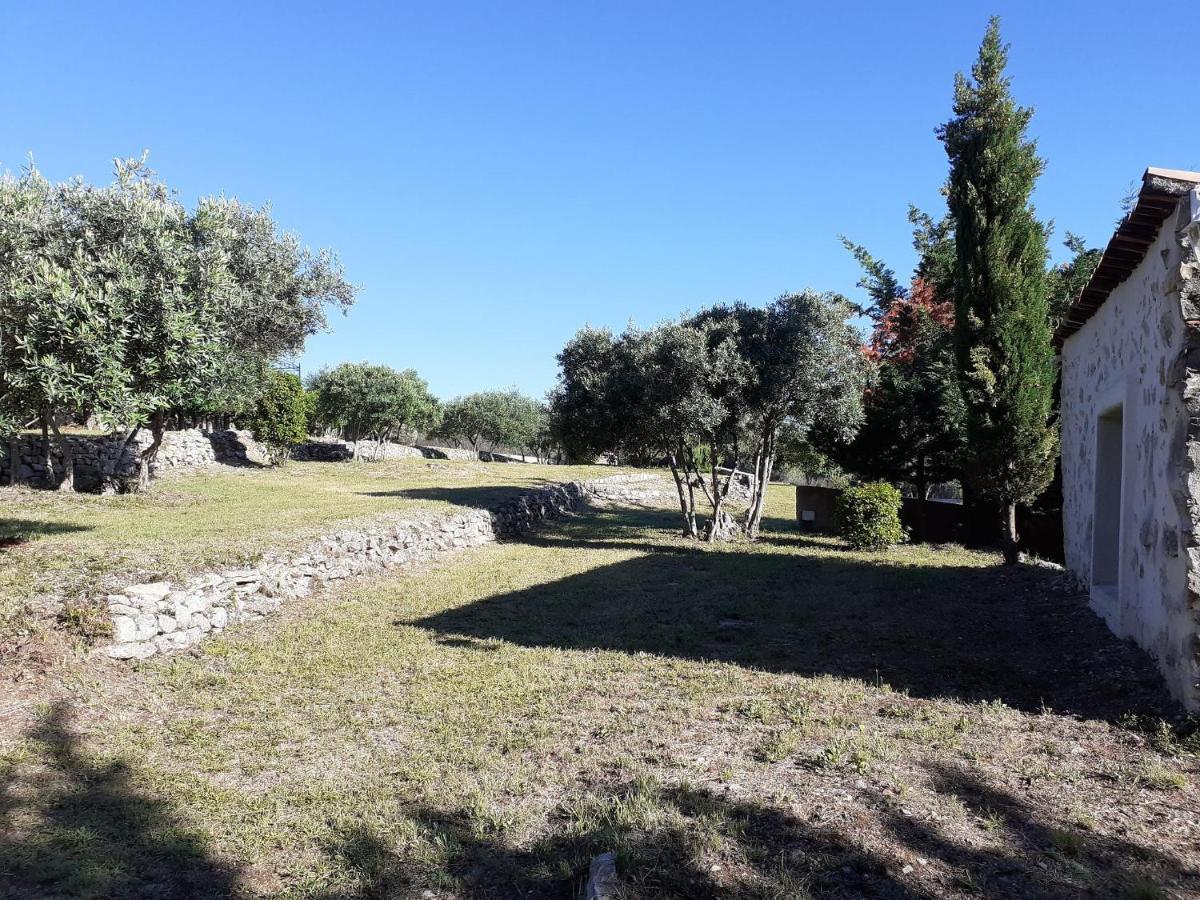 Bed and Breakfast La Bastide Des Selves Draguignan Exterior foto