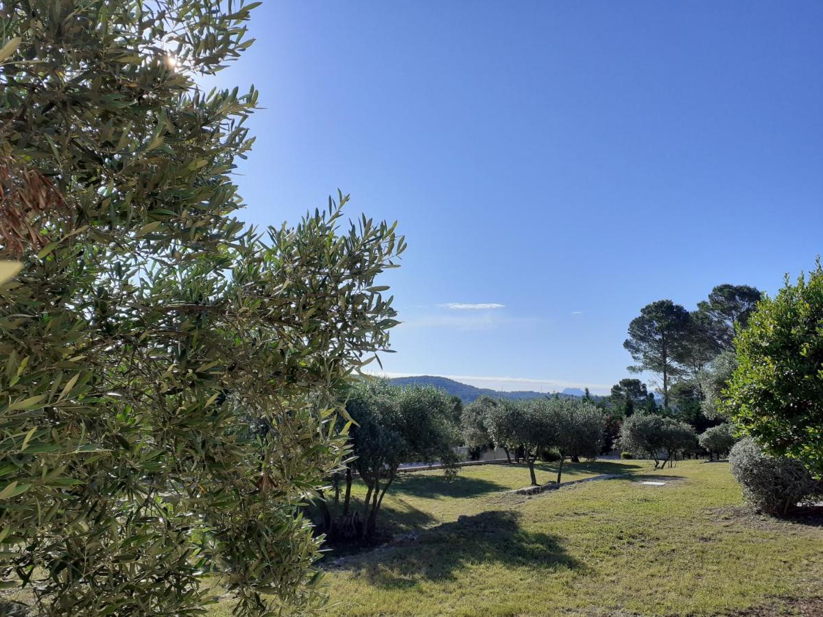 Bed and Breakfast La Bastide Des Selves Draguignan Exterior foto