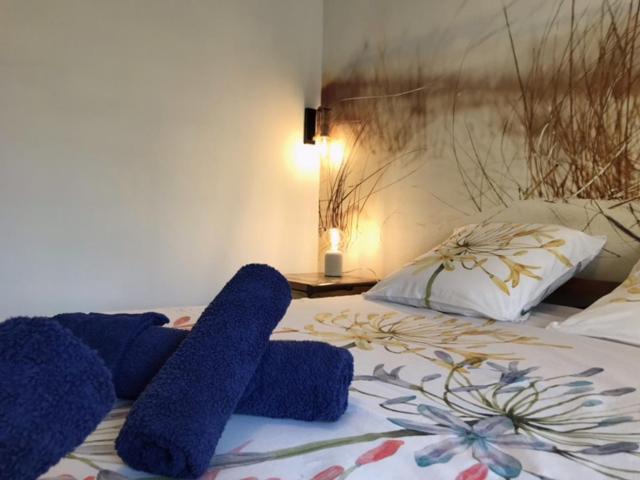 Bed and Breakfast La Bastide Des Selves Draguignan Exterior foto